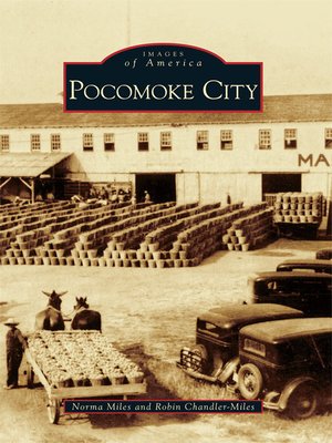 cover image of Pocomoke City